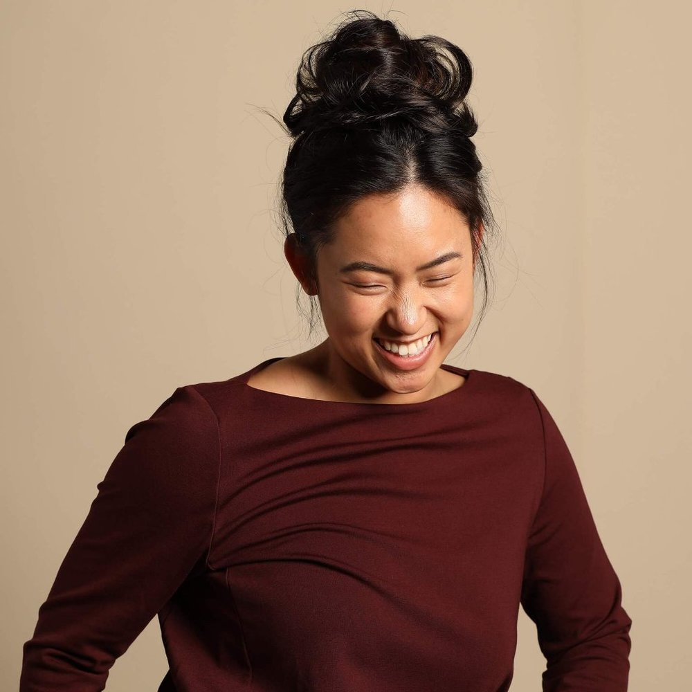 NWT Madison Braid Top Knot in Dark Brown